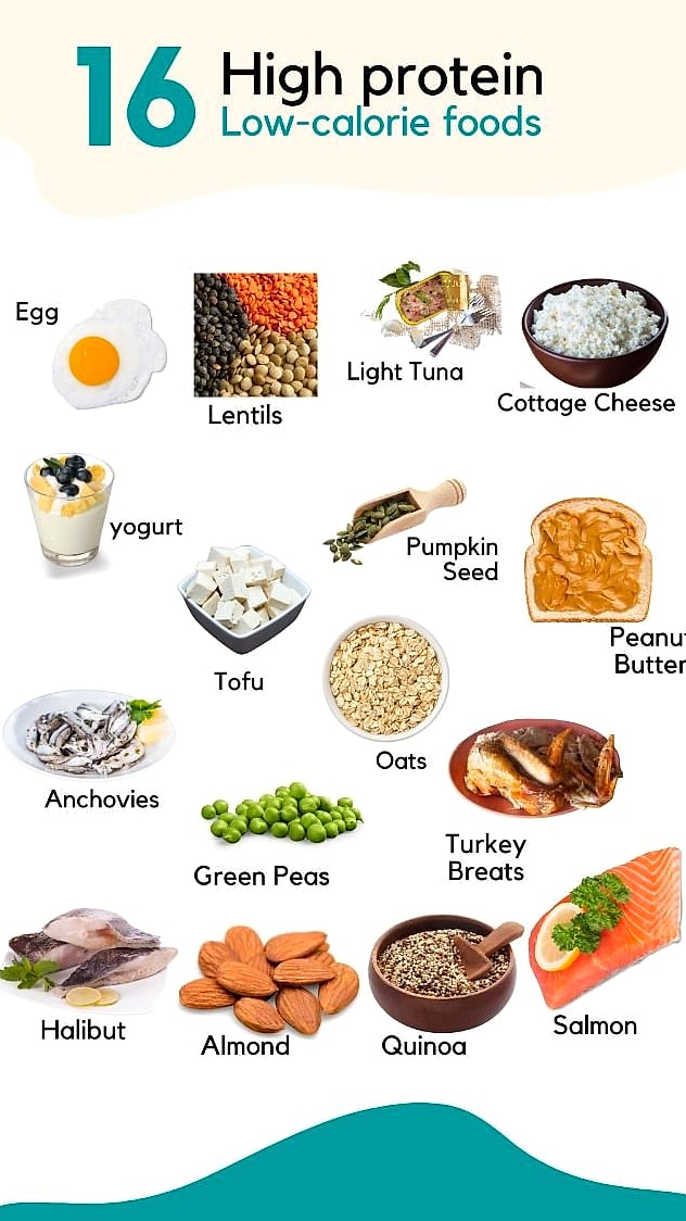 25 High Protein Low Calorie Meals Under 500 Calories